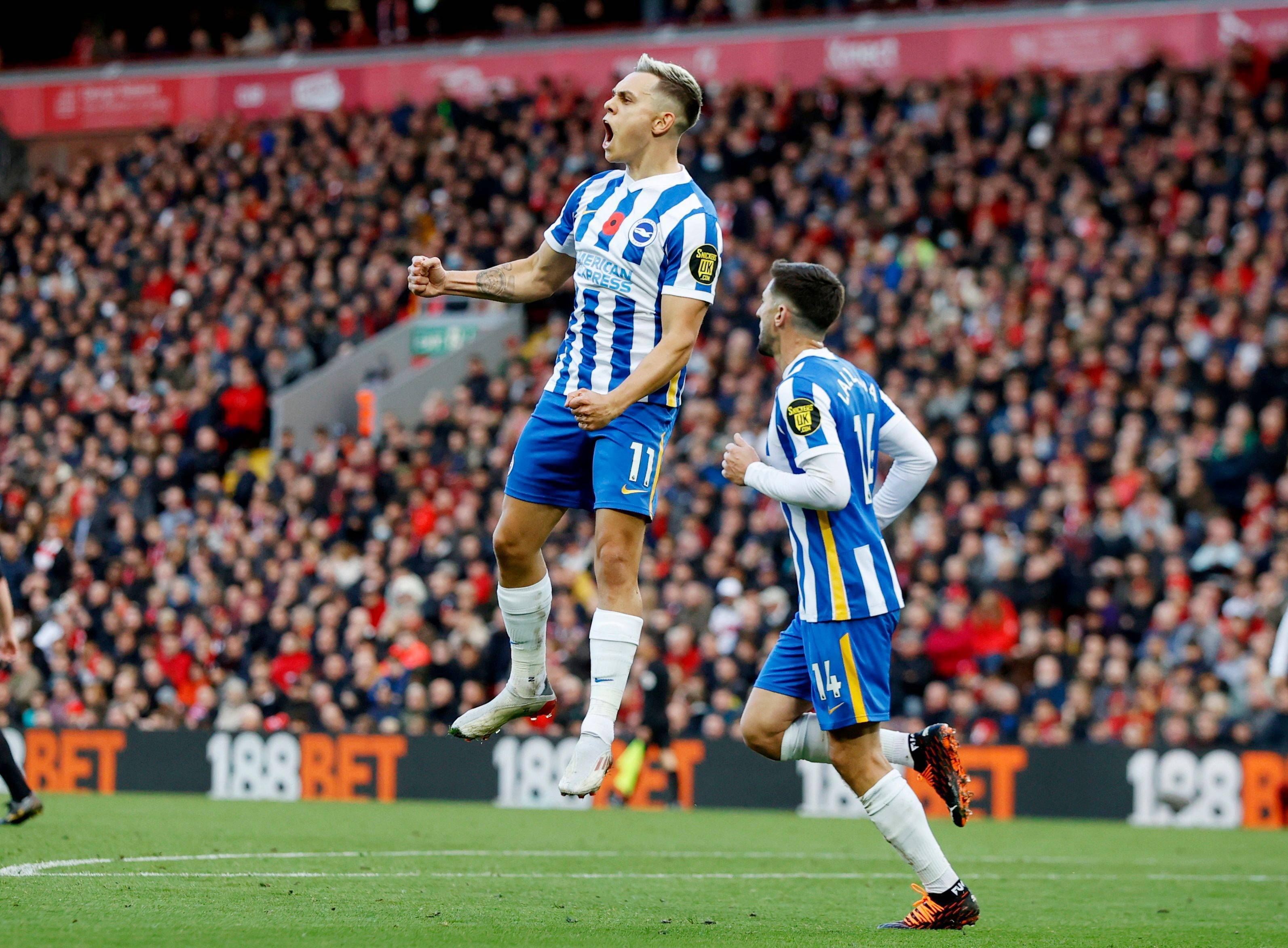 趋势与动态 趋势与动态